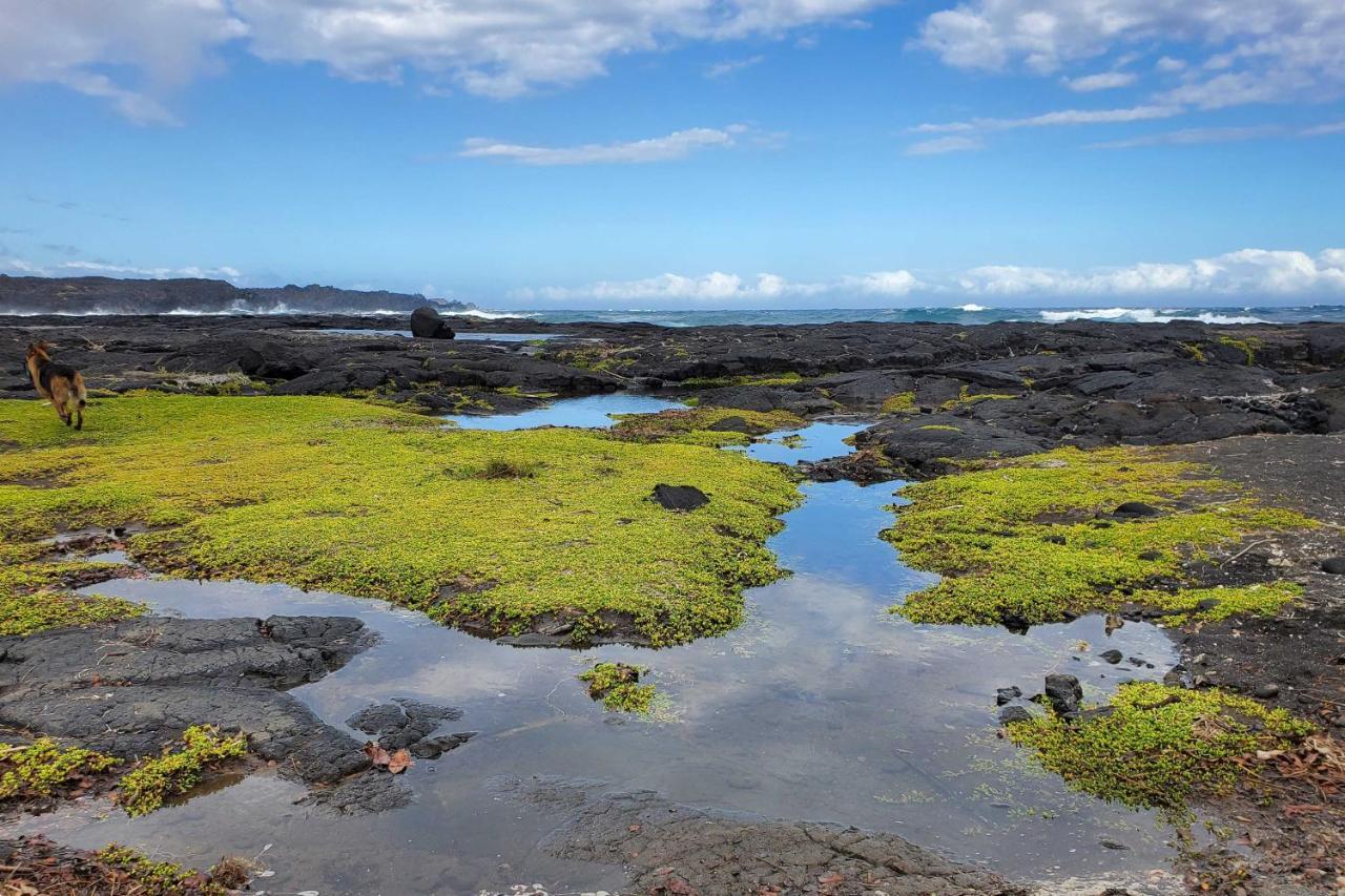 The Aloha Green House Retreat With Ocean Views! Naalehu Екстер'єр фото