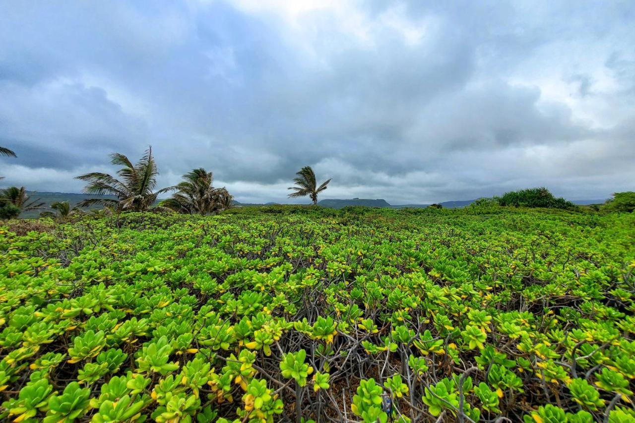 The Aloha Green House Retreat With Ocean Views! Naalehu Екстер'єр фото